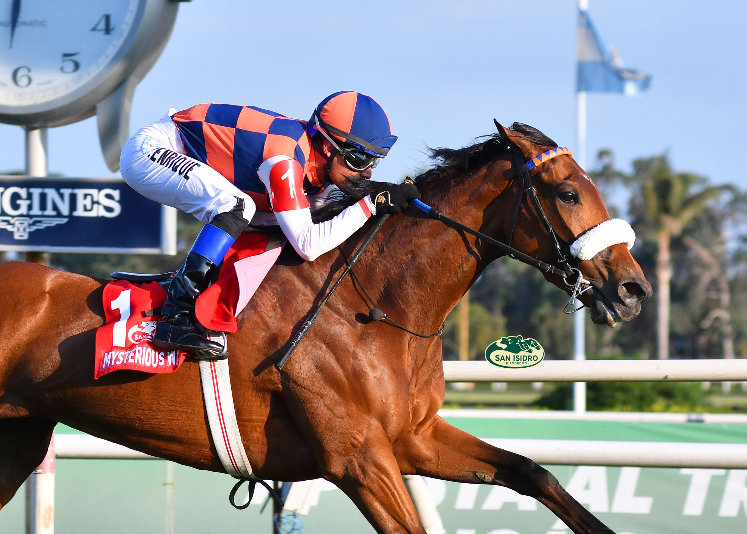 Hipodromo de la plata carreras discount en vivo y en directo