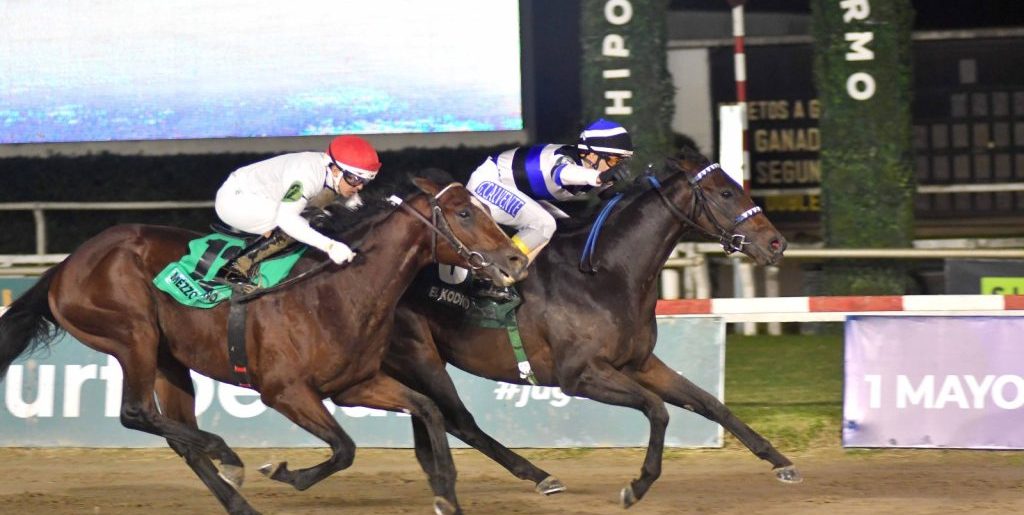 El Kodigo en la Copa de Oro y trece potrancas en el Acebal