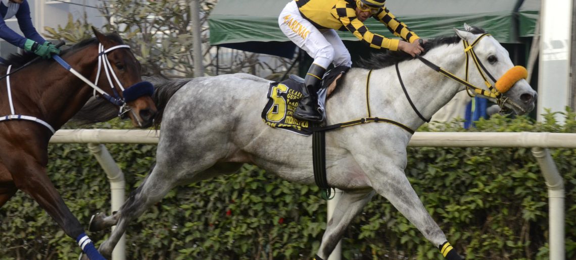Trece inscriptos en el Gran Premio 25 de Mayo