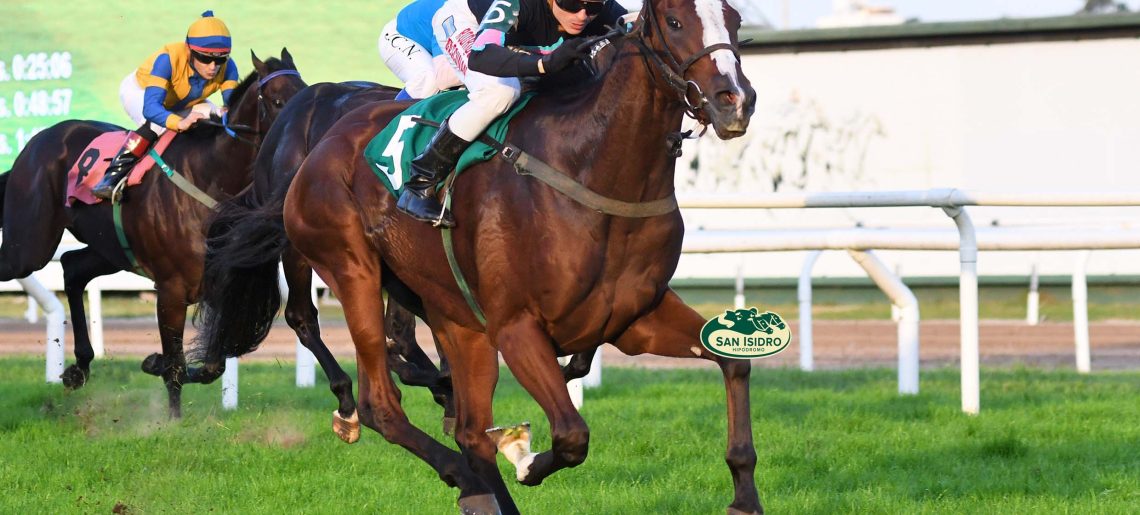 Trece potrillos ratificados en el GP Dos Mil Guineas